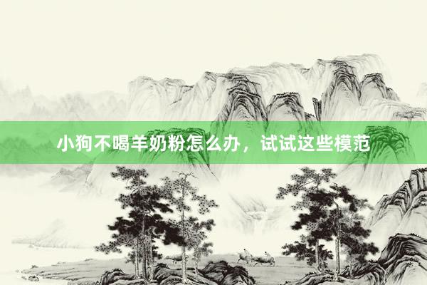 小狗不喝羊奶粉怎么办，试试这些模范