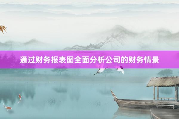 通过财务报表图全面分析公司的财务情景