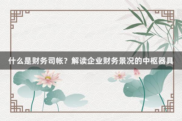 什么是财务司帐？解读企业财务景况的中枢器具